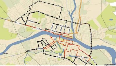 54694034