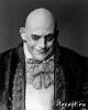 fester