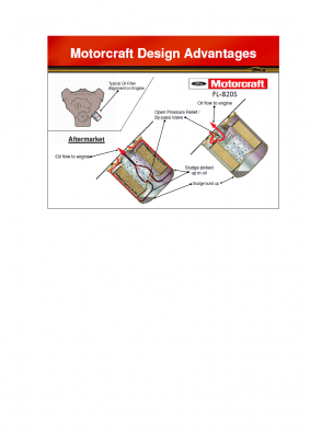  Microsoft Word (5)