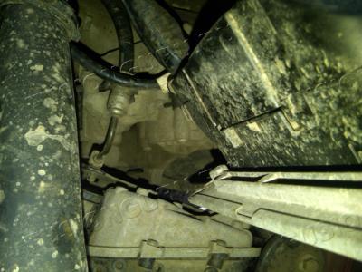 IMG00356-20130407-1603